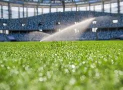 春晚节目单,正式揭晓,立博体育,立博体育官网,立博体育平台,立博体育链接,立博体育官方