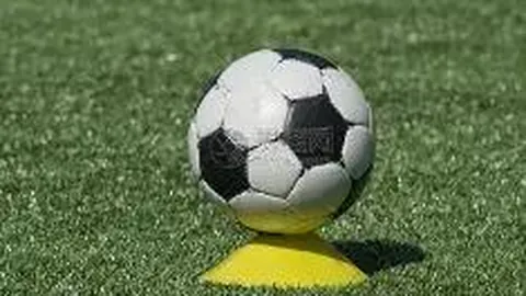 立博体育 产品 002252 x15