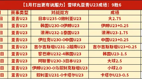 中超赛场奇观迭出，足协意外成幕后英雄？本赛季罕见景象引观众赞叹！