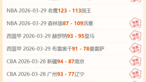 沙尔克04对决比勒菲尔德，德乙赛事比分分析